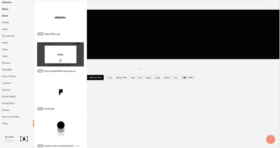 Screenshot of tilda dashboard showing where the code can be pasted